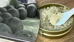 A comida mais cara do mundo: eis pelo que os milionários pagam realmente