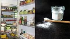 Como eliminar facilmente o mau cheiro do frigorífico sem químicos — só precisa de 2 ingredientes